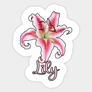 Stargazer Lily Flower Name Pink Floral Nature Sticker